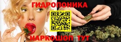 крисы Ирбит